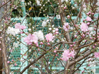 近所をぶらり散歩してきました。　暇～人