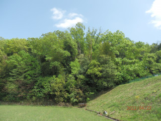 ワラビとゴンパチ　　出舞