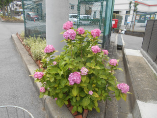 6月定例会　ｐ1　　出舞