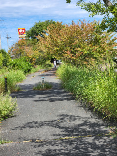 今日も秋晴れ　　出舞