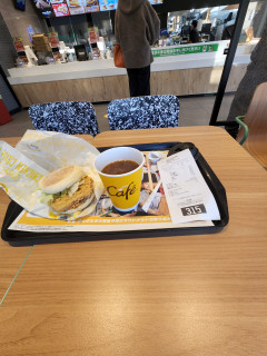 カワラヒワ観察　　出舞