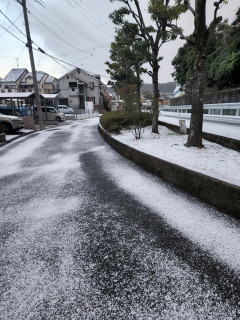 初雪便り　　　　出舞