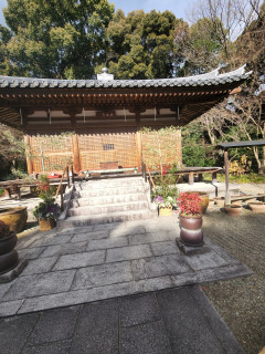 竹林寺参拝　　出舞