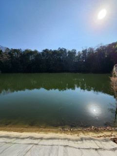 用水池　バードウオッチング　　出舞