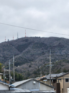 竜田川バードウォッチング    出舞