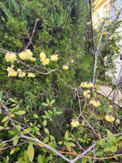 春を探しに　　　出舞