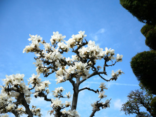 近所をぶらり散歩してきました。　暇～人