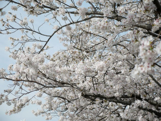 近所をぶらり散歩してきました。　暇～人