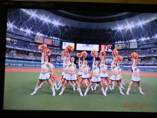 セ・リーグ開幕　　　　出舞