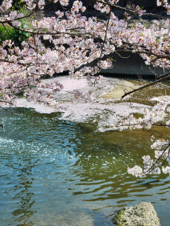 4月の風　　　　出舞