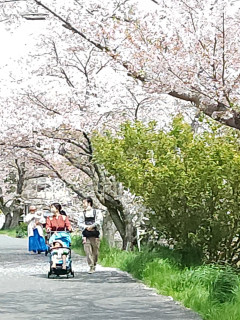 竜田川ぶらり歩き　