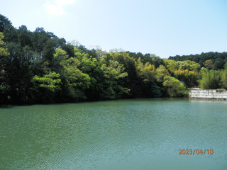 竜田川バードウォッチング　　出舞