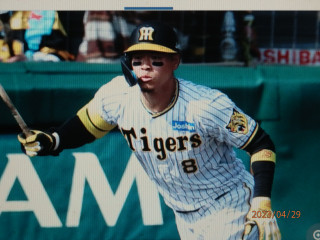 神宮の空に輝花火連発　　　　出舞