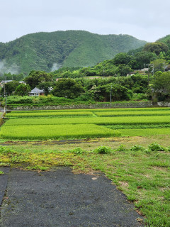 10連勝　明日にもマジックが　　　出毎年
