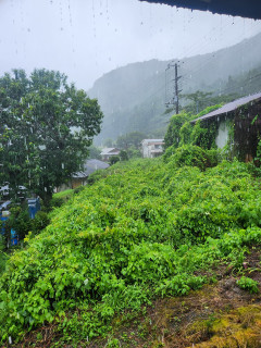 台風直撃　　　　　出舞