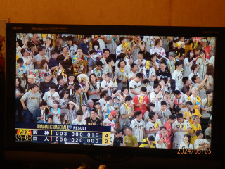 5/5近本デー　三連敗阻止　　　出舞