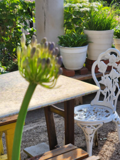 竜田川散策　　　出舞