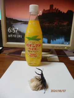 輝よ8月に熱くなれ　　　出舞