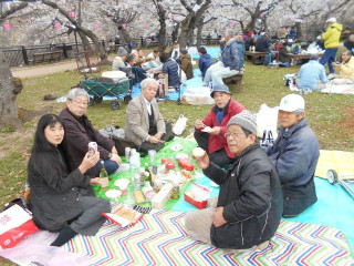 アーカイブ　大阪城花見　2019.04.03　　　出舞