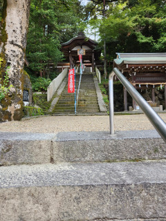 木枯らし1号　　　　出舞