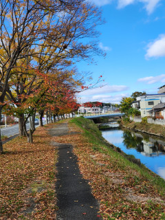 今日の竜田川　　　出舞
