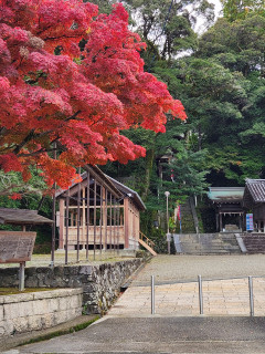 生駒神社の紅葉　　　出舞