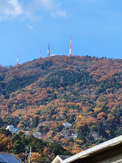生駒山の紅葉　　　出舞