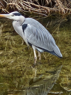 パソコン＆スマホ奮闘記　　　　出舞