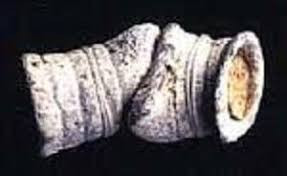 田原坂（たばるざか）　　　出舞