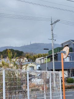 初雪　　　出舞