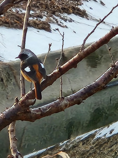 春を探しに　　　　出舞