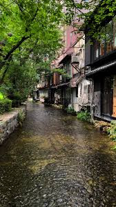 京都検定　　　出舞