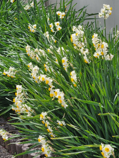 寒かった・・・　　　出舞