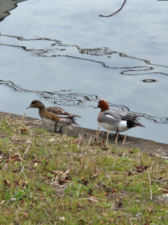寒かった！！！　　　出舞