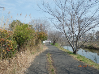 春真っ盛り　　出舞