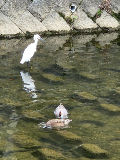 竜田川ぶらり　　　出舞