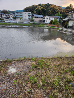 竜田川ブラブラ　　　出舞