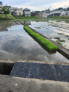 早朝からブラリ　　　出舞