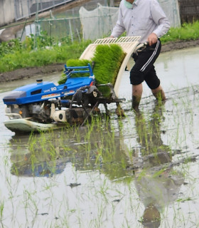 田植え始まる　　　　出舞