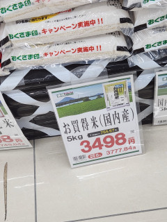 自転車でブラリ　　　　出舞