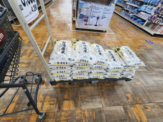 台湾米　　　出舞