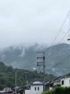雨上がりの竜田川ぶらり