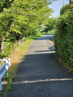 暑いですね　たまりません　　　出舞