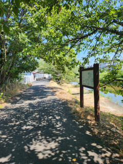 暑中お見舞い申し上げます。　　　出舞