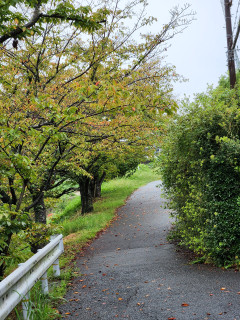 奈良県から総理大臣誕生へ