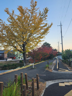 寒かった　　　　出舞