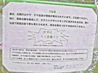 穏やかな秋日和　　　出舞