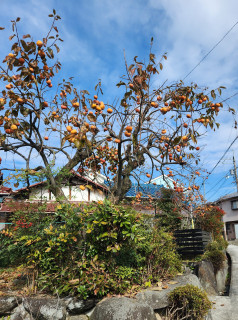 ダイエット3日目　　　出舞