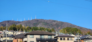 南天（なんてん）　　　出舞