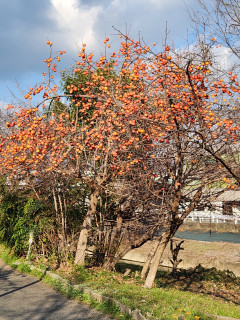 初雪かな　　　出舞